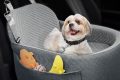 Best Dog Car Seats for Dogs Under 25 lbs My Caring Dog – Tips, Stories, and Care Guides for Loving Pet Owners Best Dog Car Seats for Dogs Under 25 lbs | My Caring Dog – Tips, Stories, and Care Guides for Loving Pet Owners