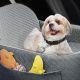 Best Dog Car Seats for Dogs Under 25 lbs | My Caring Dog – Tips, Stories, and Care Guides for Loving Pet Owners