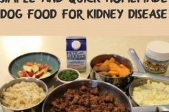 Best Homemade Kidney Care Dog Food Recipes My Caring Dog – Tips, Stories, and Care Guides for Loving Pet Owners Best Homemade Kidney Care Dog Food Recipes | My Caring Dog – Tips, Stories, and Care Guides for Loving Pet Owners