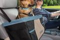 Best Dog Car Seats: Do Dogs Need Them? My Caring Dog – Tips, Stories, and Care Guides for Loving Pet Owners Best Dog Car Seats: Do Dogs Need Them? | My Caring Dog – Tips, Stories, and Care Guides for Loving Pet Owners