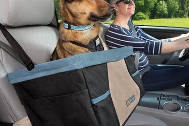 Best Dog Car Seats: Do Dogs Need Them? My Caring Dog – Tips, Stories, and Care Guides for Loving Pet Owners Best Dog Car Seats: Do Dogs Need Them? | My Caring Dog – Tips, Stories, and Care Guides for Loving Pet Owners