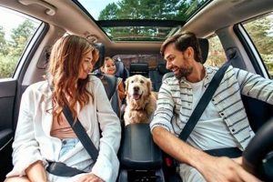 Safe Dog Car Travel Tips & Essentials My Caring Dog – Tips, Stories, and Care Guides for Loving Pet Owners Safe Dog Car Travel Tips & Essentials | My Caring Dog – Tips, Stories, and Care Guides for Loving Pet Owners