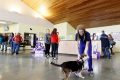Animal Care Adoption Center My Caring Dog – Tips, Stories, and Care Guides for Loving Pet Owners Animal Care Adoption Center | My Caring Dog – Tips, Stories, and Care Guides for Loving Pet Owners