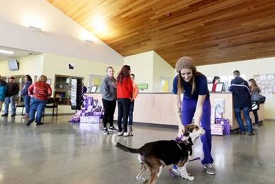 Animal Care Adoption Center My Caring Dog – Tips, Stories, and Care Guides for Loving Pet Owners Animal Care Adoption Center | My Caring Dog – Tips, Stories, and Care Guides for Loving Pet Owners