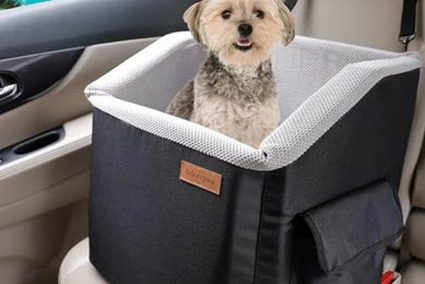 Top Adorepaw Dog Car Seats: Safe & Secure My Caring Dog – Tips, Stories, and Care Guides for Loving Pet Owners Top Adorepaw Dog Car Seats: Safe & Secure | My Caring Dog – Tips, Stories, and Care Guides for Loving Pet Owners