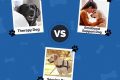 Top Canine Jobs for Your Car Dog My Caring Dog – Tips, Stories, and Care Guides for Loving Pet Owners Top Canine Jobs for Your Car Dog | My Caring Dog – Tips, Stories, and Care Guides for Loving Pet Owners