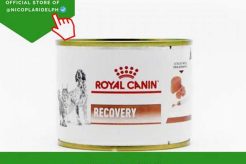 Royal Canin Urgent Care Dog Food My Caring Dog – Tips, Stories, and Care Guides for Loving Pet Owners Royal Canin Urgent Care Dog Food | My Caring Dog – Tips, Stories, and Care Guides for Loving Pet Owners