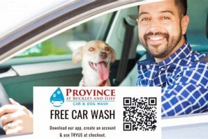 Province Car And Dog Wash My Caring Dog – Tips, Stories, and Care Guides for Loving Pet Owners Province Car And Dog Wash | My Caring Dog – Tips, Stories, and Care Guides for Loving Pet Owners