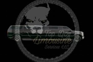 Reliable Dog Car Service in NYC: Safe Pet Taxi My Caring Dog – Tips, Stories, and Care Guides for Loving Pet Owners Reliable Dog Car Service in NYC: Safe Pet Taxi | My Caring Dog – Tips, Stories, and Care Guides for Loving Pet Owners