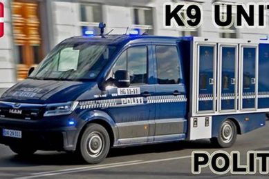 Top Man K9 Units: Car Dog Protection My Caring Dog – Tips, Stories, and Care Guides for Loving Pet Owners Top Man K9 Units: Car Dog Protection | My Caring Dog – Tips, Stories, and Care Guides for Loving Pet Owners