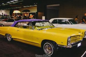 Snoop Dogg's Car Collection: A Look Inside My Caring Dog – Tips, Stories, and Care Guides for Loving Pet Owners Snoop Dogg's Car Collection: A Look Inside | My Caring Dog – Tips, Stories, and Care Guides for Loving Pet Owners