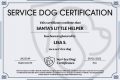 Svan Dog Certification My Caring Dog – Tips, Stories, and Care Guides for Loving Pet Owners Svan Dog Certification | My Caring Dog – Tips, Stories, and Care Guides for Loving Pet Owners