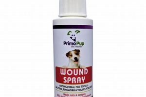 Best Wound Care Spray for Dogs: Healing & Protection My Caring Dog – Tips, Stories, and Care Guides for Loving Pet Owners Best Wound Care Spray for Dogs: Healing & Protection | My Caring Dog – Tips, Stories, and Care Guides for Loving Pet Owners