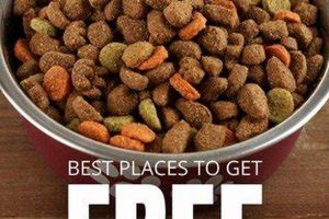 How Can I Get A Dog For Free My Caring Dog – Tips, Stories, and Care Guides for Loving Pet Owners How Can I Get A Dog For Free | My Caring Dog – Tips, Stories, and Care Guides for Loving Pet Owners