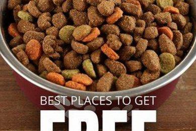 How Can I Get A Dog For Free My Caring Dog – Tips, Stories, and Care Guides for Loving Pet Owners How Can I Get A Dog For Free | My Caring Dog – Tips, Stories, and Care Guides for Loving Pet Owners