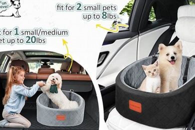 Pretty Pink Dog Car Seats: Safe & Stylish My Caring Dog – Tips, Stories, and Care Guides for Loving Pet Owners Pretty Pink Dog Car Seats: Safe & Stylish | My Caring Dog – Tips, Stories, and Care Guides for Loving Pet Owners