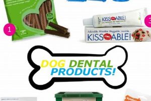 Best Dog Dental Care Products for Healthy Smiles My Caring Dog – Tips, Stories, and Care Guides for Loving Pet Owners Best Dog Dental Care Products for Healthy Smiles | My Caring Dog – Tips, Stories, and Care Guides for Loving Pet Owners