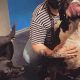 Top Dog Day Care in Portland, Oregon | My Caring Dog – Tips, Stories, and Care Guides for Loving Pet Owners