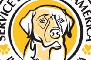 Best Service Dogs in America: A Guide My Caring Dog – Tips, Stories, and Care Guides for Loving Pet Owners Best Service Dogs in America: A Guide | My Caring Dog – Tips, Stories, and Care Guides for Loving Pet Owners