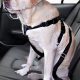 Dog Car Safety: Harnesses & More | My Caring Dog – Tips, Stories, and Care Guides for Loving Pet Owners
