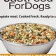 Best Dog Food for Urinary Care & Tract Health | My Caring Dog – Tips, Stories, and Care Guides for Loving Pet Owners