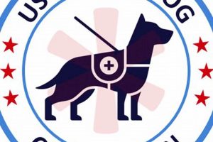 Essential Guide to USA Service Animals & Laws My Caring Dog – Tips, Stories, and Care Guides for Loving Pet Owners Essential Guide to USA Service Animals & Laws | My Caring Dog – Tips, Stories, and Care Guides for Loving Pet Owners