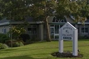 Best Dog Day Care in Hampton: Top Choices My Caring Dog – Tips, Stories, and Care Guides for Loving Pet Owners Best Dog Day Care in Hampton: Top Choices | My Caring Dog – Tips, Stories, and Care Guides for Loving Pet Owners