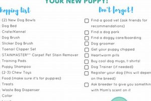 Essential Dog Care Supplies & Tips My Caring Dog – Tips, Stories, and Care Guides for Loving Pet Owners Essential Dog Care Supplies & Tips | My Caring Dog – Tips, Stories, and Care Guides for Loving Pet Owners