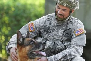 Service Dog Training Austin Tx My Caring Dog – Tips, Stories, and Care Guides for Loving Pet Owners Service Dog Training Austin Tx | My Caring Dog – Tips, Stories, and Care Guides for Loving Pet Owners
