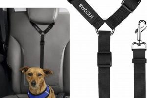 Best Dog Seat Belts for Car: Safe Travel My Caring Dog – Tips, Stories, and Care Guides for Loving Pet Owners Best Dog Seat Belts for Car: Safe Travel | My Caring Dog – Tips, Stories, and Care Guides for Loving Pet Owners