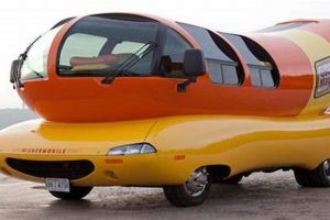 Hot Dogs Car My Caring Dog – Tips, Stories, and Care Guides for Loving Pet Owners Hot Dogs Car | My Caring Dog – Tips, Stories, and Care Guides for Loving Pet Owners