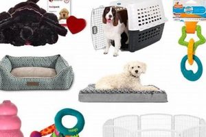 Car Dog Essentials: What You Need for Safe Travels My Caring Dog – Tips, Stories, and Care Guides for Loving Pet Owners Car Dog Essentials: What You Need for Safe Travels | My Caring Dog – Tips, Stories, and Care Guides for Loving Pet Owners