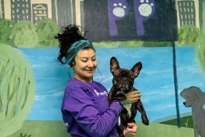 Best Dog Day Care in Hoboken, NJ | Top Kennels My Caring Dog – Tips, Stories, and Care Guides for Loving Pet Owners Best Dog Day Care in Hoboken, NJ | Top Kennels | My Caring Dog – Tips, Stories, and Care Guides for Loving Pet Owners