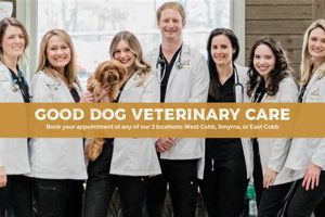 Good Dog Veterinary Care My Caring Dog – Tips, Stories, and Care Guides for Loving Pet Owners Good Dog Veterinary Care | My Caring Dog – Tips, Stories, and Care Guides for Loving Pet Owners