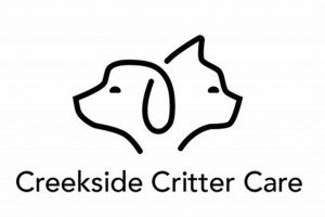 Top Dog Day Care in Renton, WA My Caring Dog – Tips, Stories, and Care Guides for Loving Pet Owners Top Dog Day Care in Renton, WA | My Caring Dog – Tips, Stories, and Care Guides for Loving Pet Owners