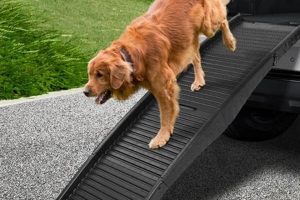Best Car Ramps for Dogs: Safe & Easy Access My Caring Dog – Tips, Stories, and Care Guides for Loving Pet Owners Best Car Ramps for Dogs: Safe & Easy Access | My Caring Dog – Tips, Stories, and Care Guides for Loving Pet Owners