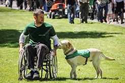 Best Dog Training for Disabled: Guide & Tips My Caring Dog – Tips, Stories, and Care Guides for Loving Pet Owners Best Dog Training for Disabled: Guide & Tips | My Caring Dog – Tips, Stories, and Care Guides for Loving Pet Owners