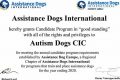 Best ADI Certification for Car Dog Trainers My Caring Dog – Tips, Stories, and Care Guides for Loving Pet Owners Best ADI Certification for Car Dog Trainers | My Caring Dog – Tips, Stories, and Care Guides for Loving Pet Owners