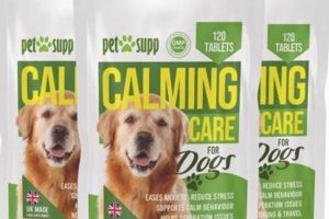 Ultimate Calming Care Guide for Anxious Dogs My Caring Dog – Tips, Stories, and Care Guides for Loving Pet Owners Ultimate Calming Care Guide for Anxious Dogs | My Caring Dog – Tips, Stories, and Care Guides for Loving Pet Owners