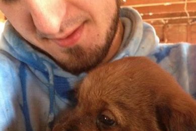 Find Your Puppy: Adoption in St. Louis My Caring Dog – Tips, Stories, and Care Guides for Loving Pet Owners Find Your Puppy: Adoption in St. Louis | My Caring Dog – Tips, Stories, and Care Guides for Loving Pet Owners