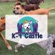 Best Dog Day Care in Lakewood CO: Top Picks | My Caring Dog – Tips, Stories, and Care Guides for Loving Pet Owners