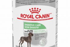 Best Digestive Care Dog Food at Petsmart My Caring Dog – Tips, Stories, and Care Guides for Loving Pet Owners Best Digestive Care Dog Food at Petsmart | My Caring Dog – Tips, Stories, and Care Guides for Loving Pet Owners