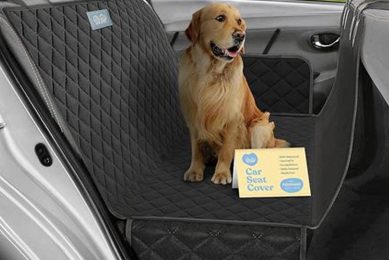 Babyltrl Dog Car Seat Cover My Caring Dog – Tips, Stories, and Care Guides for Loving Pet Owners Babyltrl Dog Car Seat Cover | My Caring Dog – Tips, Stories, and Care Guides for Loving Pet Owners
