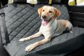 Best Chewy Dog Car Seat Covers: Ultimate Protection My Caring Dog – Tips, Stories, and Care Guides for Loving Pet Owners Best Chewy Dog Car Seat Covers: Ultimate Protection | My Caring Dog – Tips, Stories, and Care Guides for Loving Pet Owners