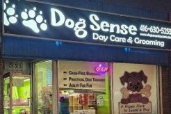 Best Dog Sense Day Care & Grooming Services My Caring Dog – Tips, Stories, and Care Guides for Loving Pet Owners Best Dog Sense Day Care & Grooming Services | My Caring Dog – Tips, Stories, and Care Guides for Loving Pet Owners