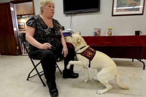 Service Dog Flunkies My Caring Dog – Tips, Stories, and Care Guides for Loving Pet Owners Service Dog Flunkies | My Caring Dog – Tips, Stories, and Care Guides for Loving Pet Owners
