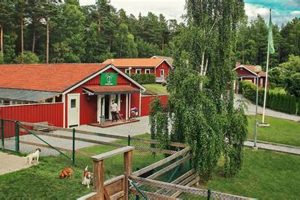 Best Dog Day Care in Stockholm: Top Centers My Caring Dog – Tips, Stories, and Care Guides for Loving Pet Owners Best Dog Day Care in Stockholm: Top Centers | My Caring Dog – Tips, Stories, and Care Guides for Loving Pet Owners