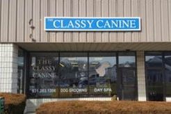 Top Dog Day Care in Southampton NY: Best Care My Caring Dog – Tips, Stories, and Care Guides for Loving Pet Owners Top Dog Day Care in Southampton NY: Best Care | My Caring Dog – Tips, Stories, and Care Guides for Loving Pet Owners