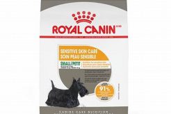 Royal Canin Small Sensitive Skin Care Dry Dog Food My Caring Dog – Tips, Stories, and Care Guides for Loving Pet Owners Royal Canin Small Sensitive Skin Care Dry Dog Food | My Caring Dog – Tips, Stories, and Care Guides for Loving Pet Owners