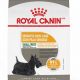 Royal Canin Small Sensitive Skin Care Dry Dog Food | My Caring Dog – Tips, Stories, and Care Guides for Loving Pet Owners